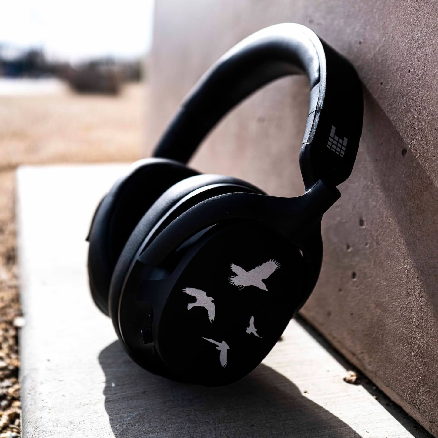 Shinedown 'The Sound of Madness'