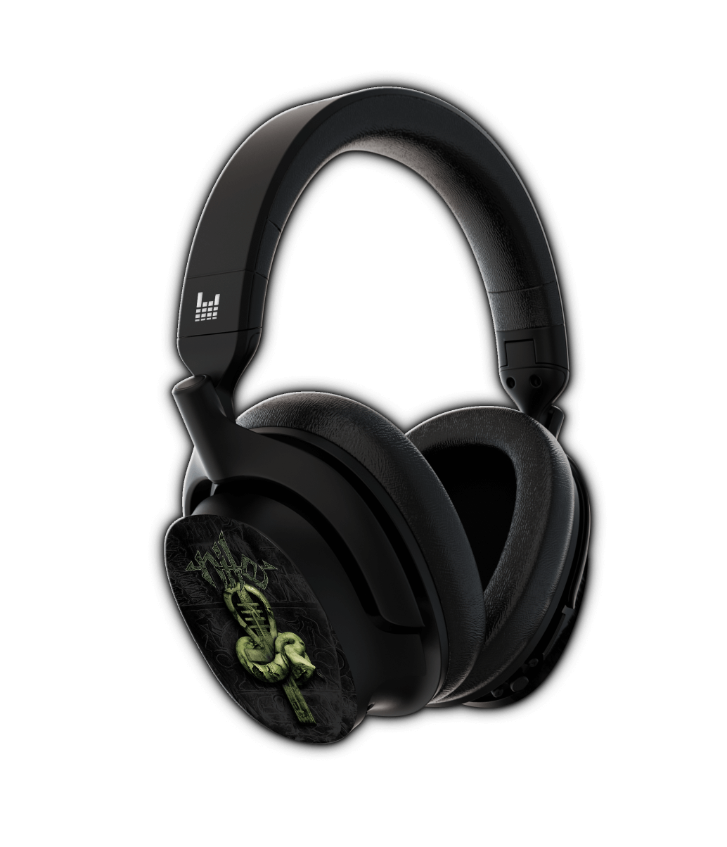 Nile Shells *LAST FEW AVAILABLE* - Heavys