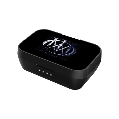 Dream Theater Shell for EarBuds Case