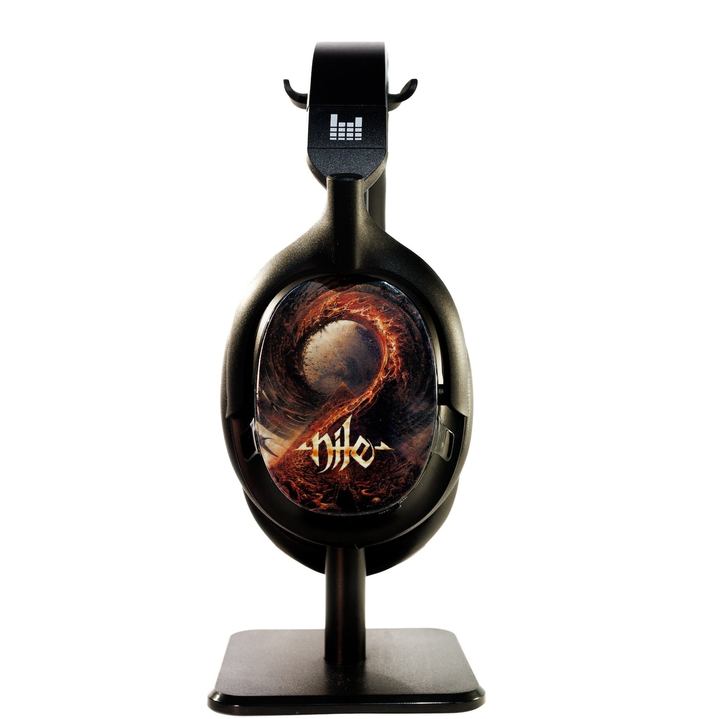 Nile Shells *LAST FEW AVAILABLE*