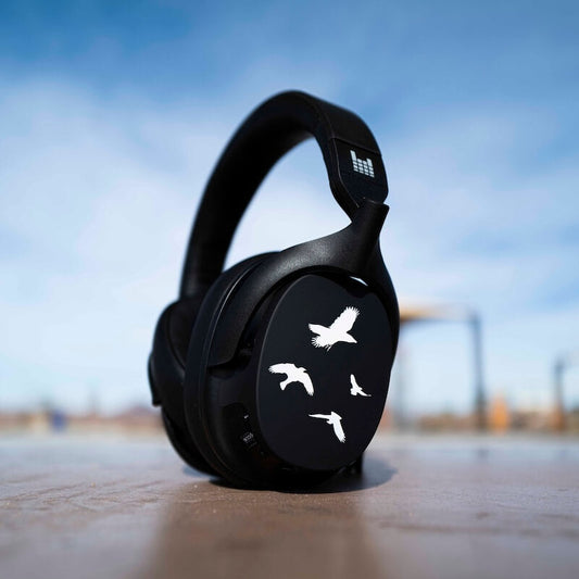 Shinedown 'The Sound of Madness'